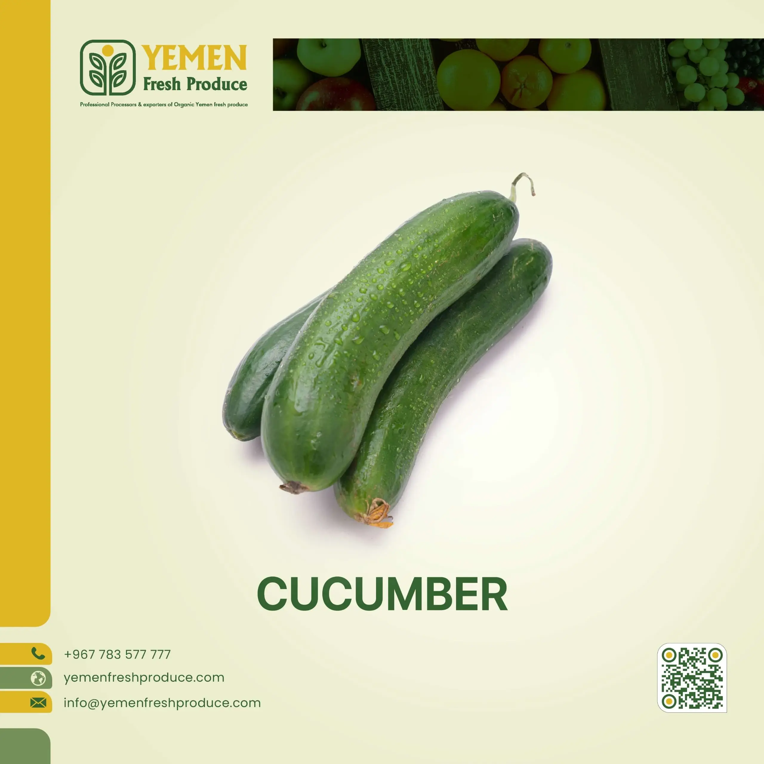 Cucumber